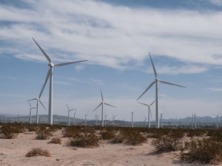 investment opportunities land